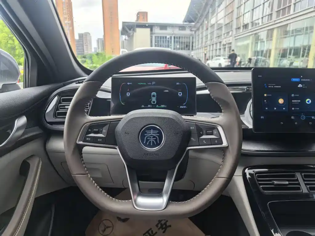 BYD Qin PLUS — фото 15