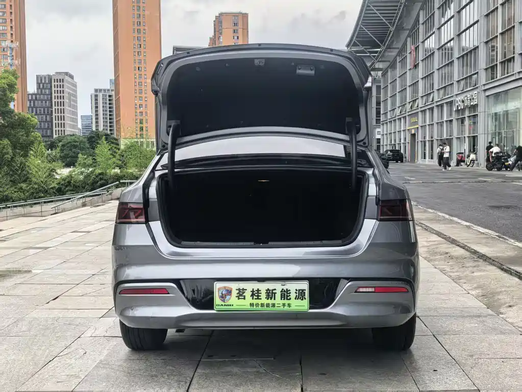 BYD Qin PLUS — фото 10