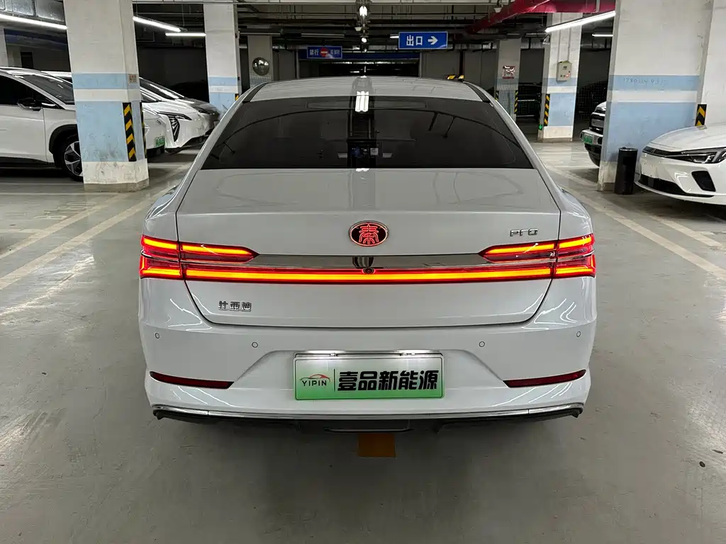 BYD Qin Pro NEV — фото 5