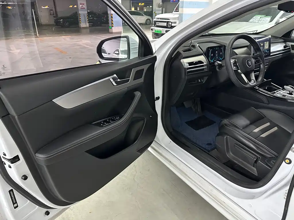 BYD Qin Pro NEV — фото 9