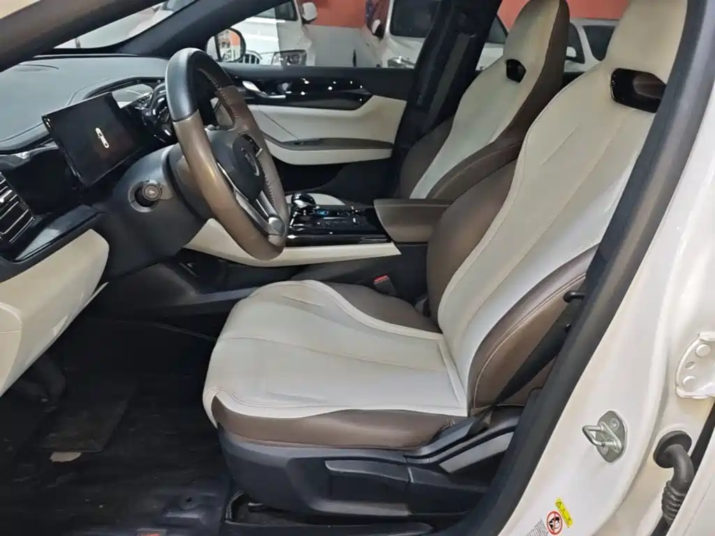 BYD Qin PLUS — фото 14
