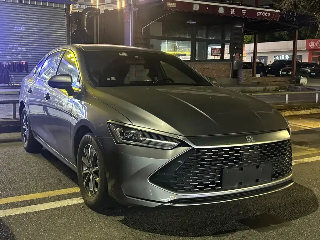 BYD Qin PLUS — фото 3