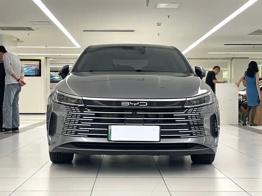 BYD Destroyer 05 — фото 2