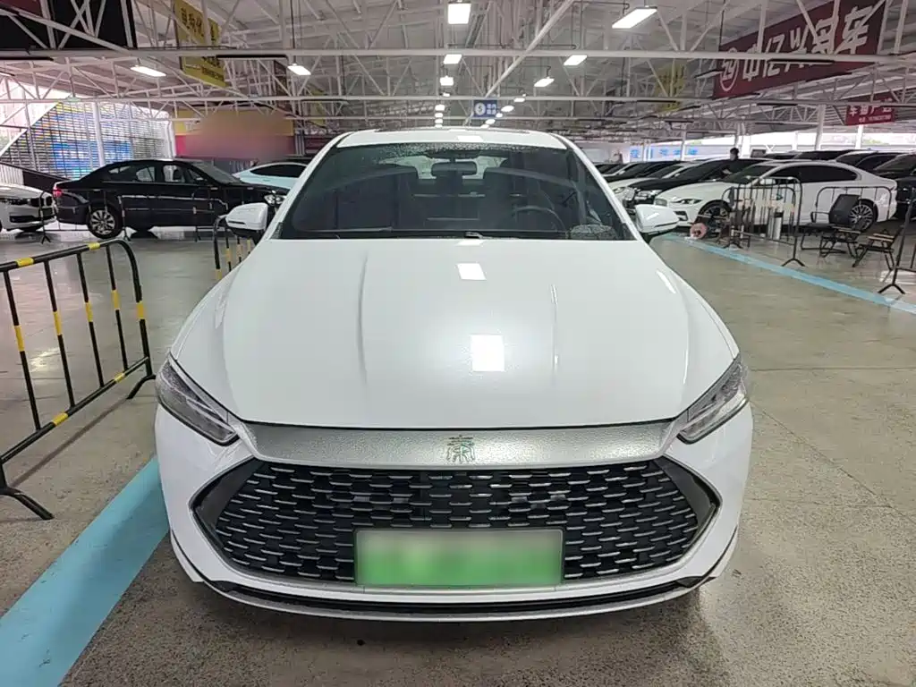 BYD Qin PLUS — фото 2