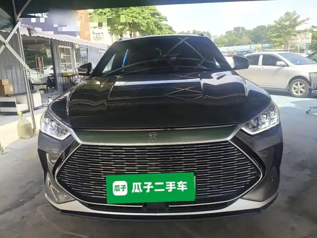 BYD PLUS New Energy — фото 2