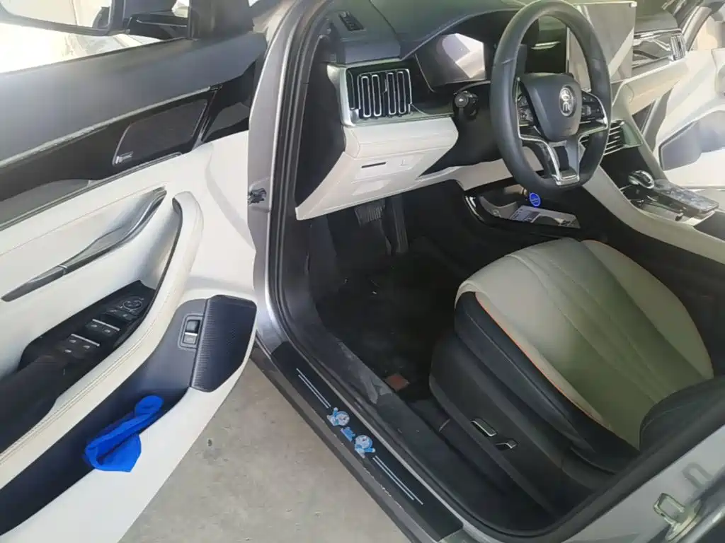 BYD PLUS New Energy — фото 15