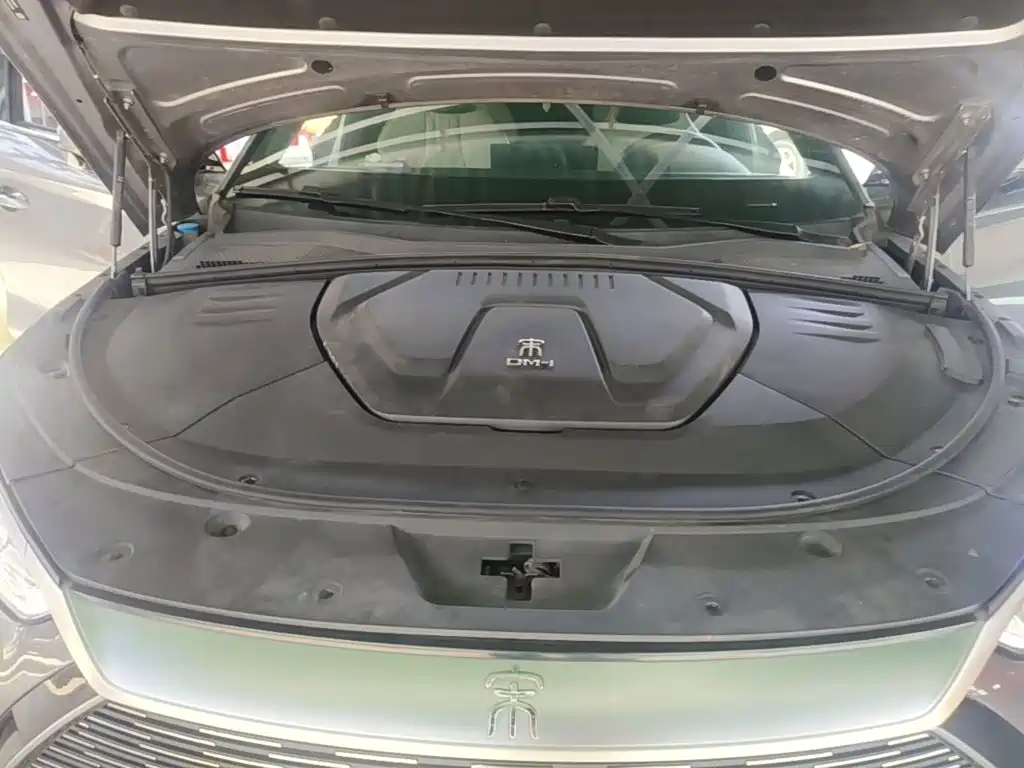 BYD PLUS New Energy — фото 19