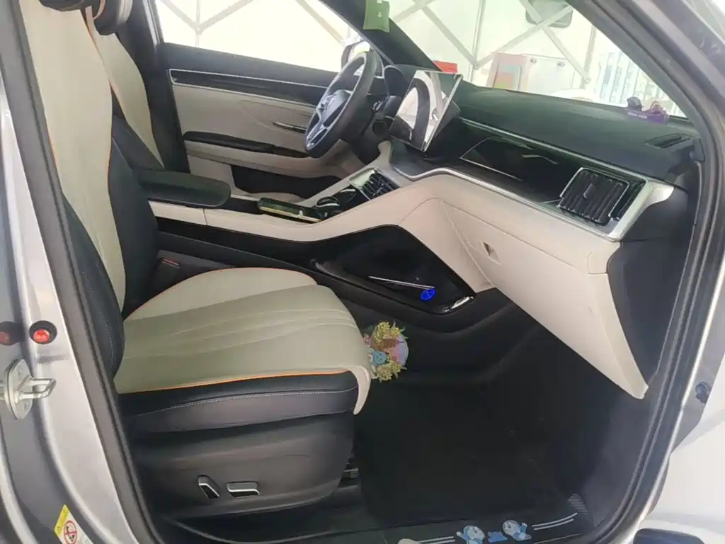 BYD PLUS New Energy — фото 24