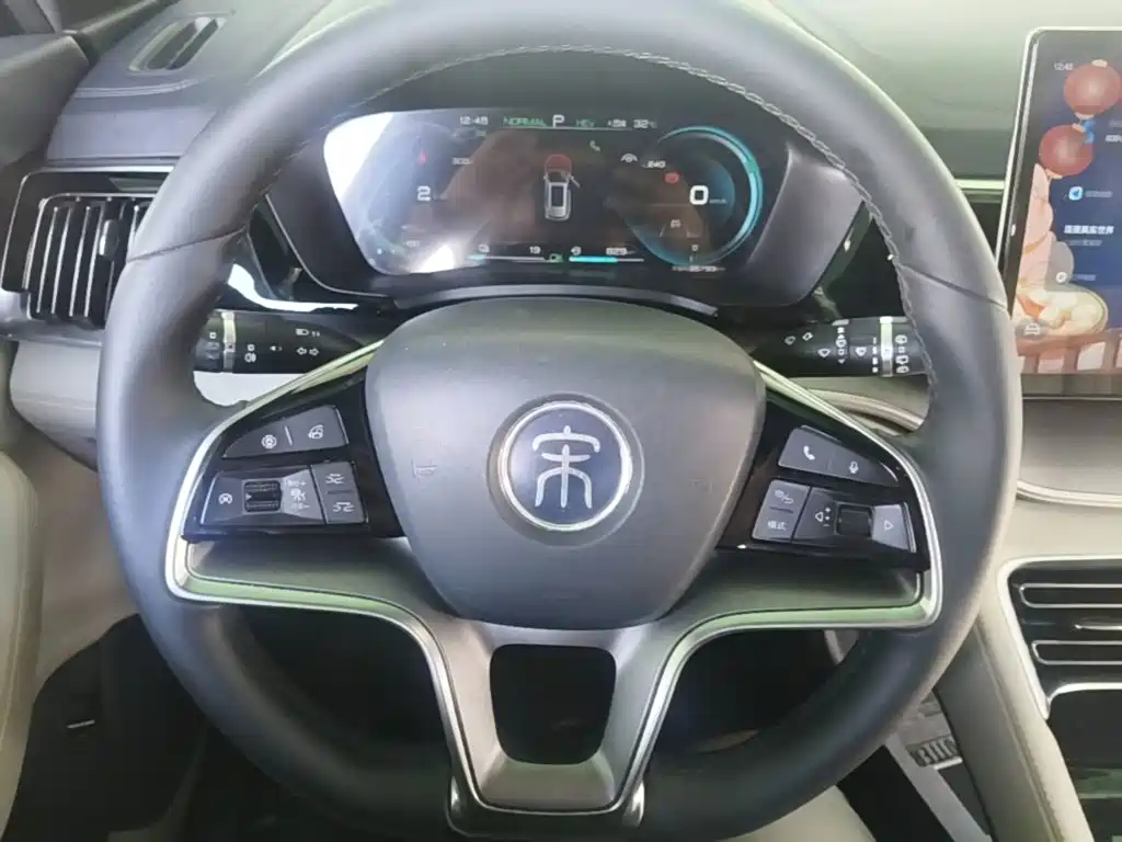 BYD PLUS New Energy — фото 10