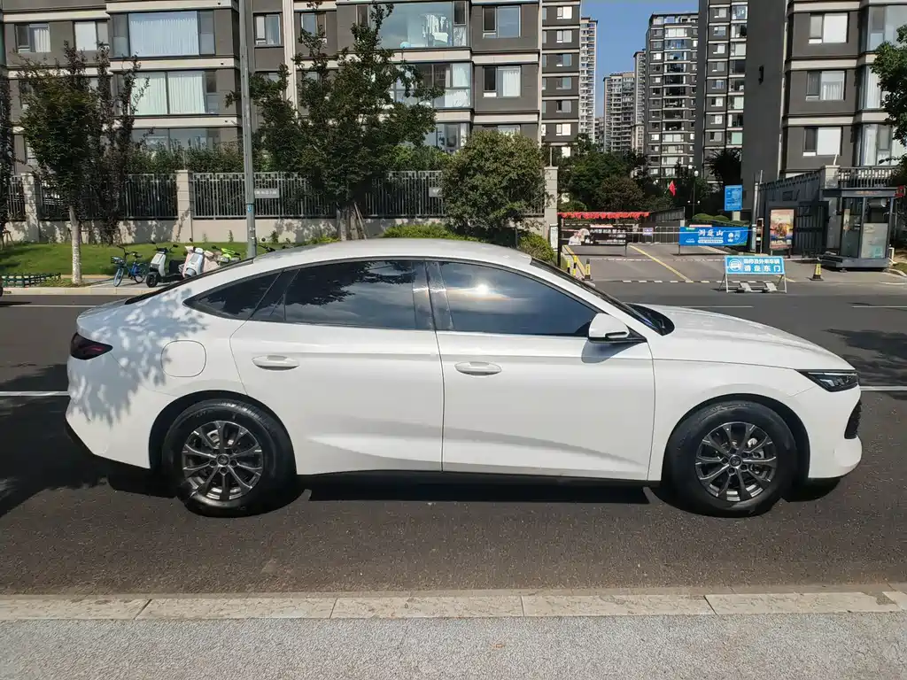 BYD Qin L — фото 4