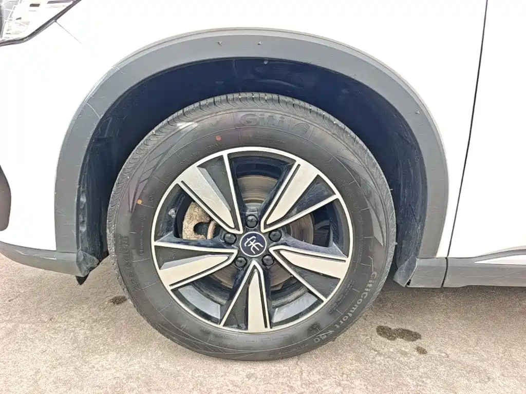 BYD Pro New Energy — фото 22