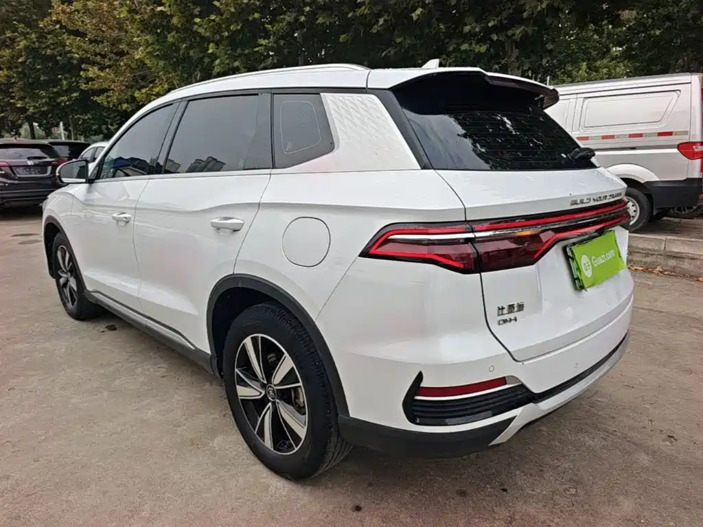 BYD Pro New Energy — фото 4