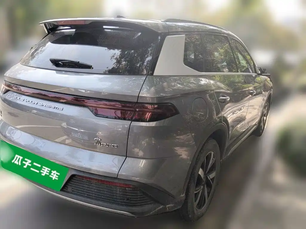 BYD Pro New Energy — фото 4