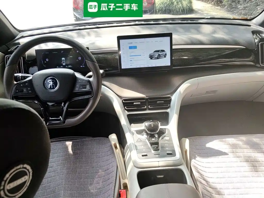 BYD Pro New Energy — фото 5