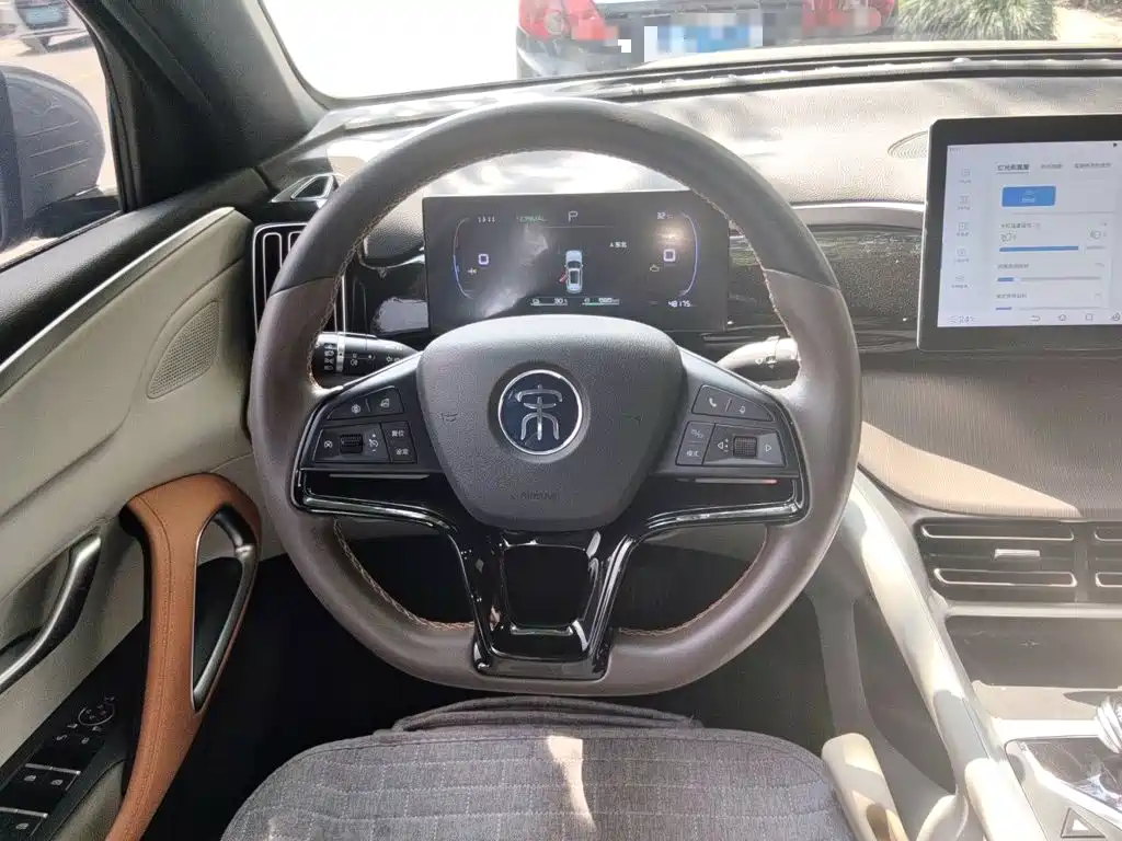 BYD Pro New Energy — фото 6