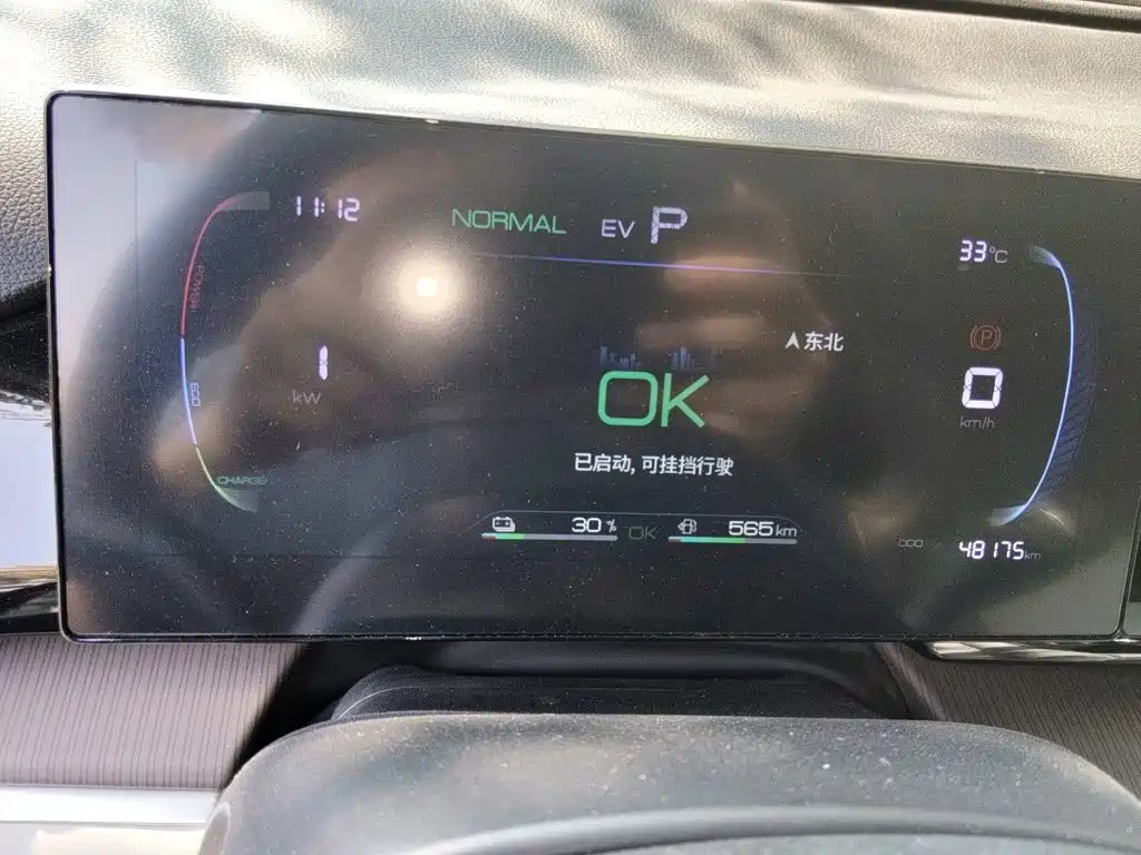 BYD Pro New Energy — фото 7