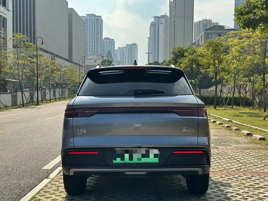 BYD Pro New Energy — фото 8