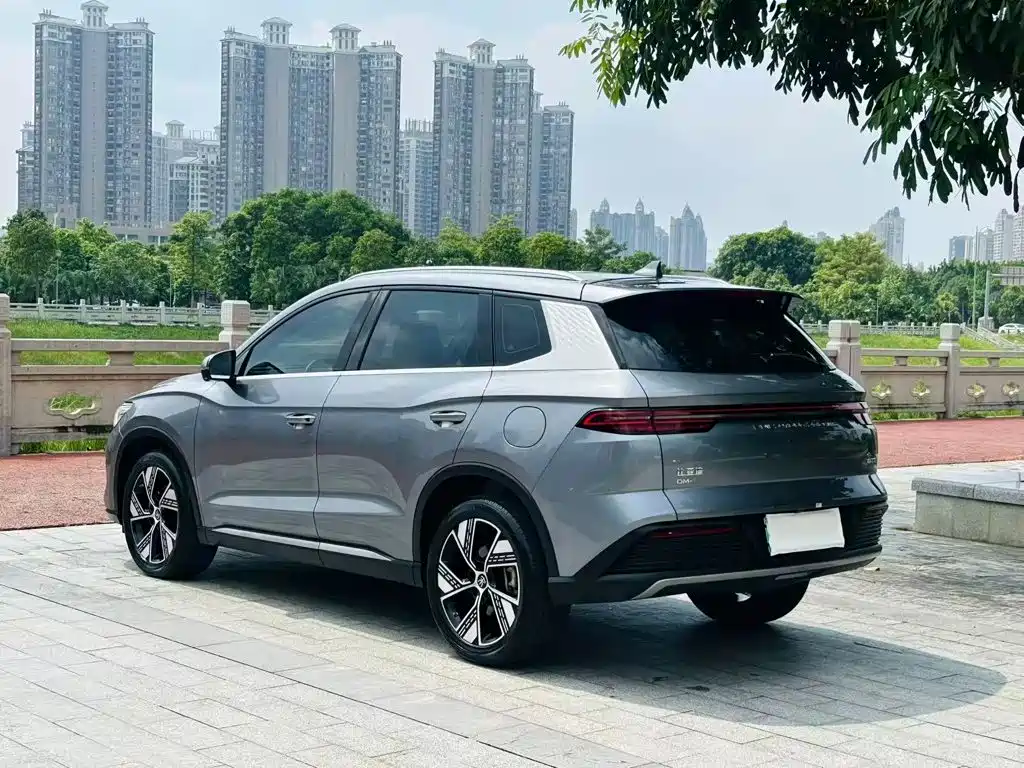 BYD Pro New Energy — фото 7