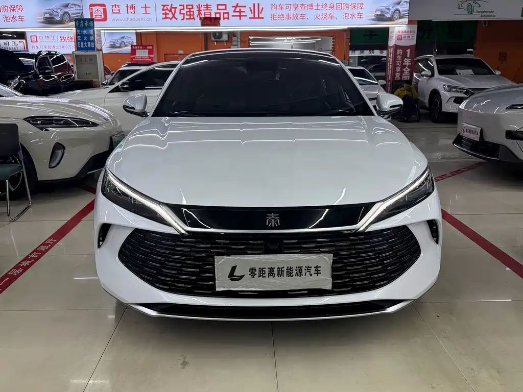 BYD Qin L — фото 2