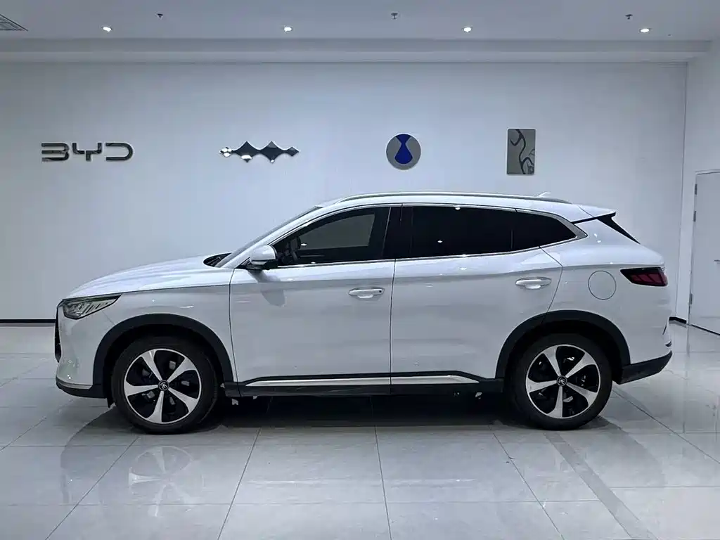 BYD PLUS New Energy — фото 2