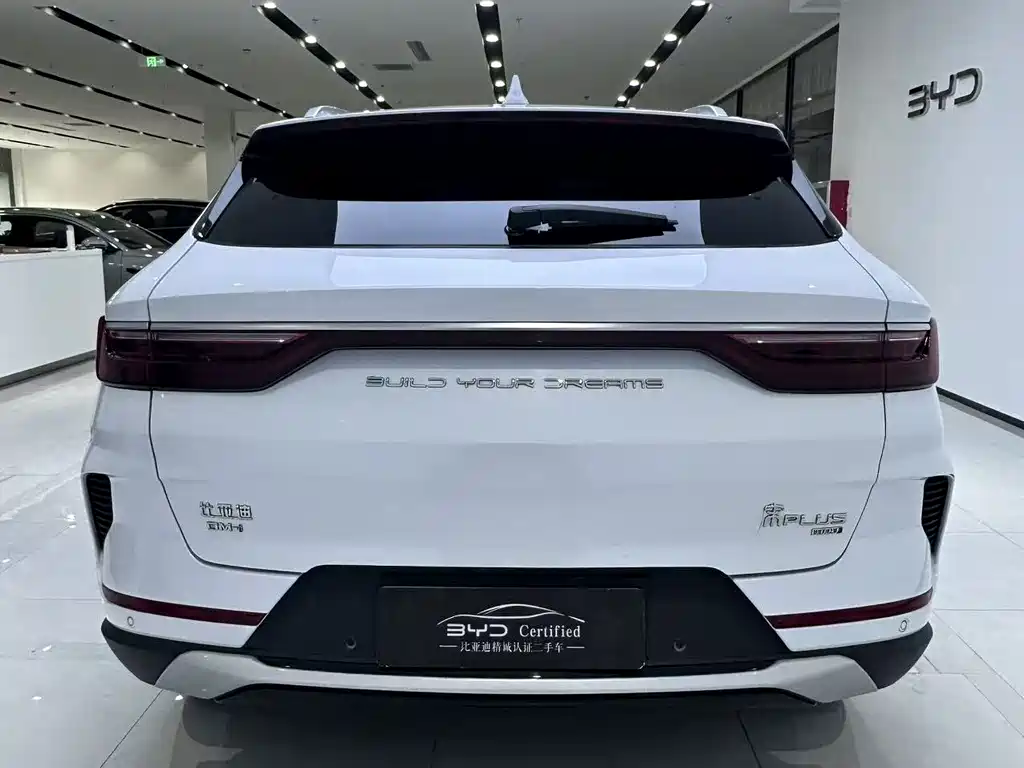 BYD PLUS New Energy — фото 11