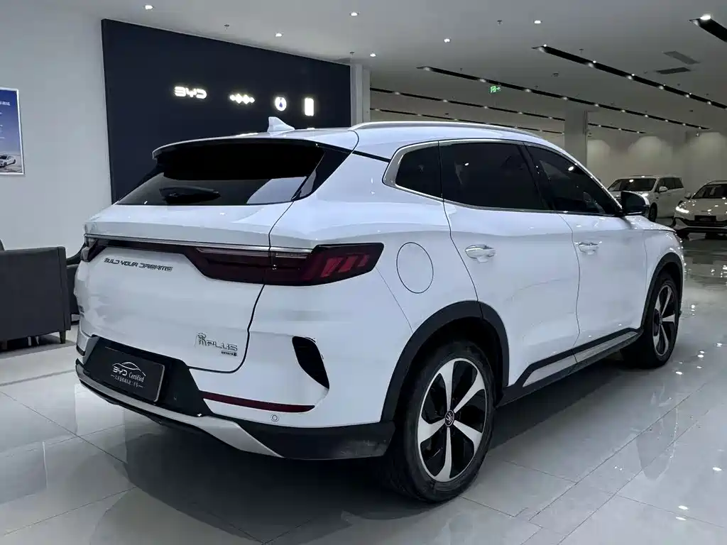 BYD PLUS New Energy — фото 12