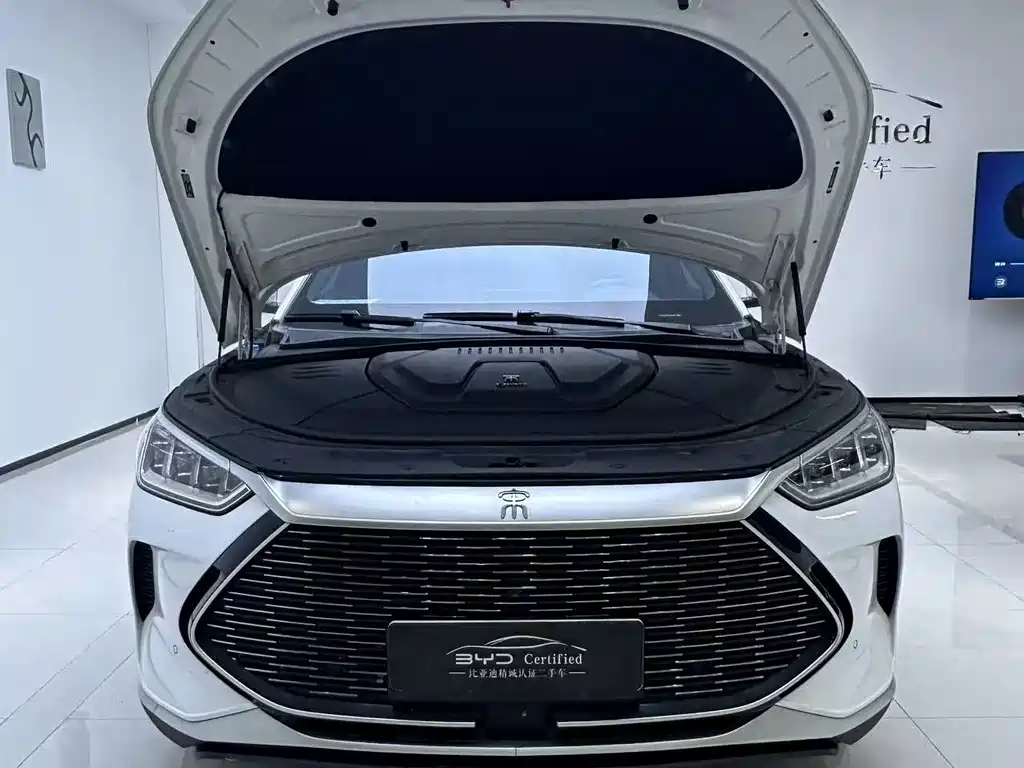 BYD PLUS New Energy — фото 9