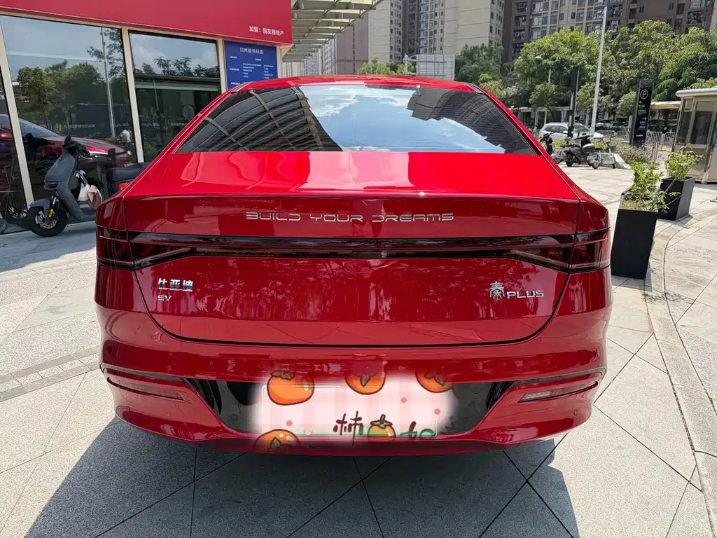 BYD Qin PLUS — фото 5