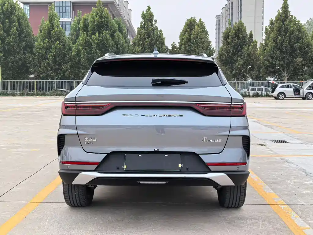 BYD PLUS New Energy — фото 8