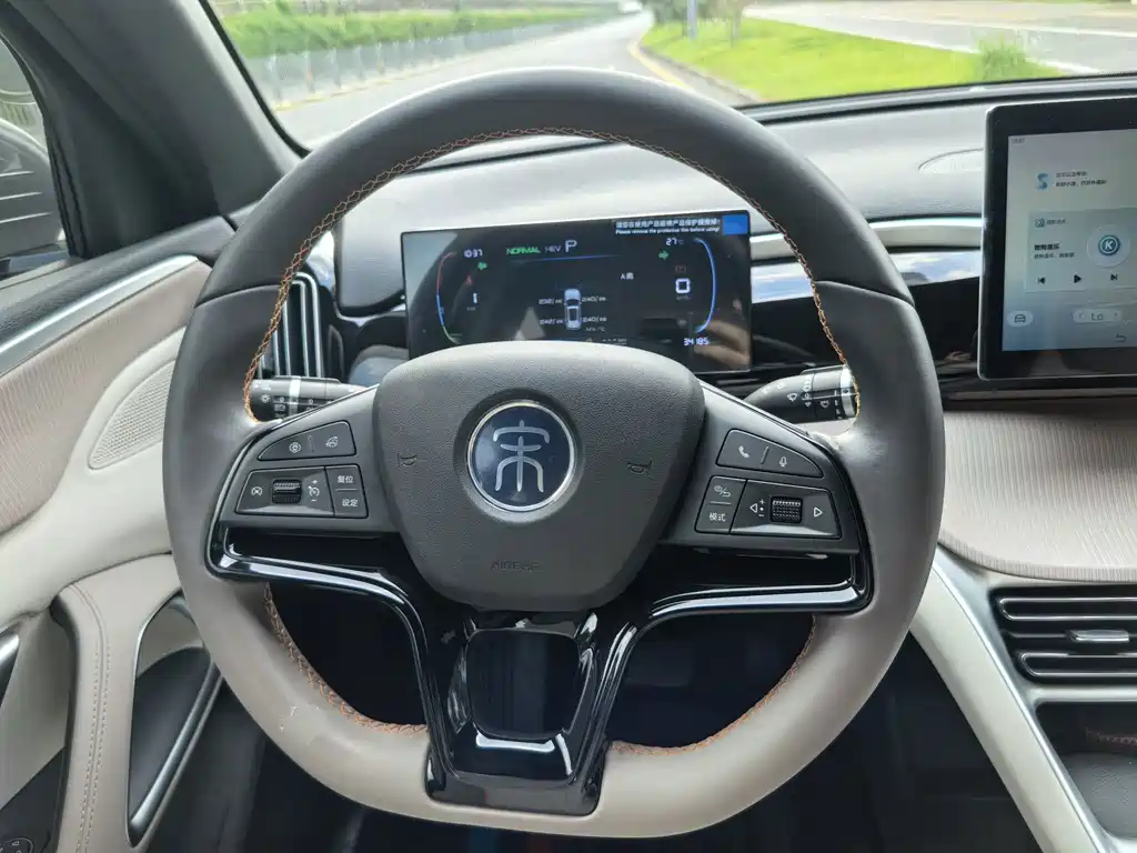 BYD Pro New Energy — фото 11