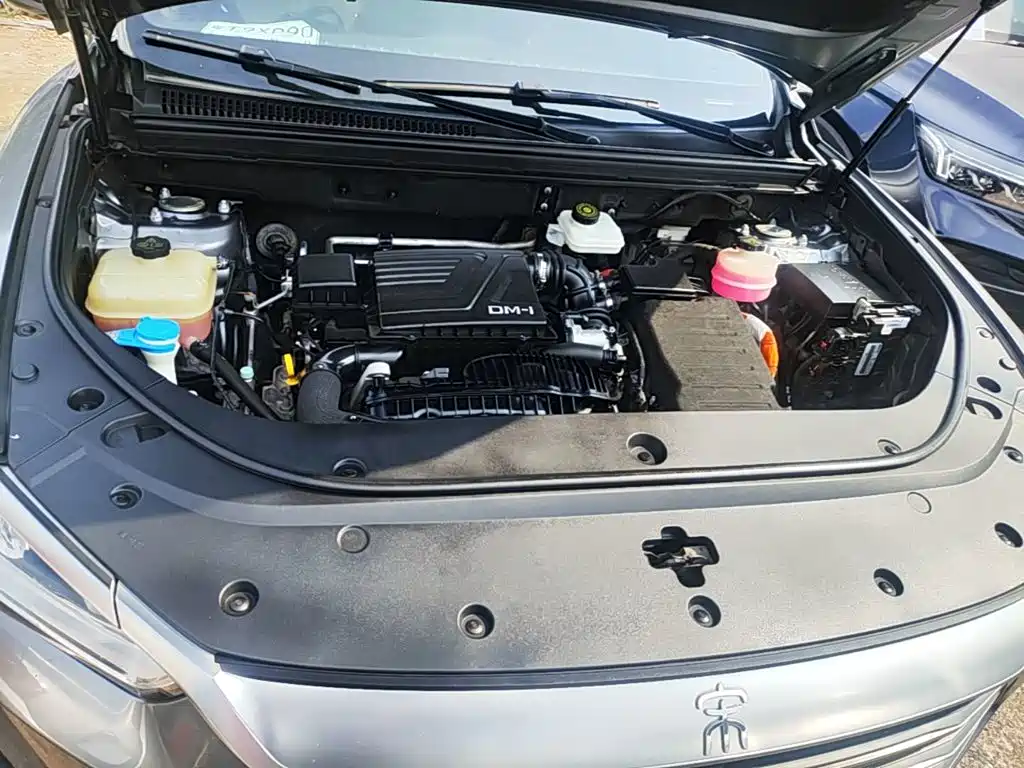 BYD Pro New Energy — фото 19