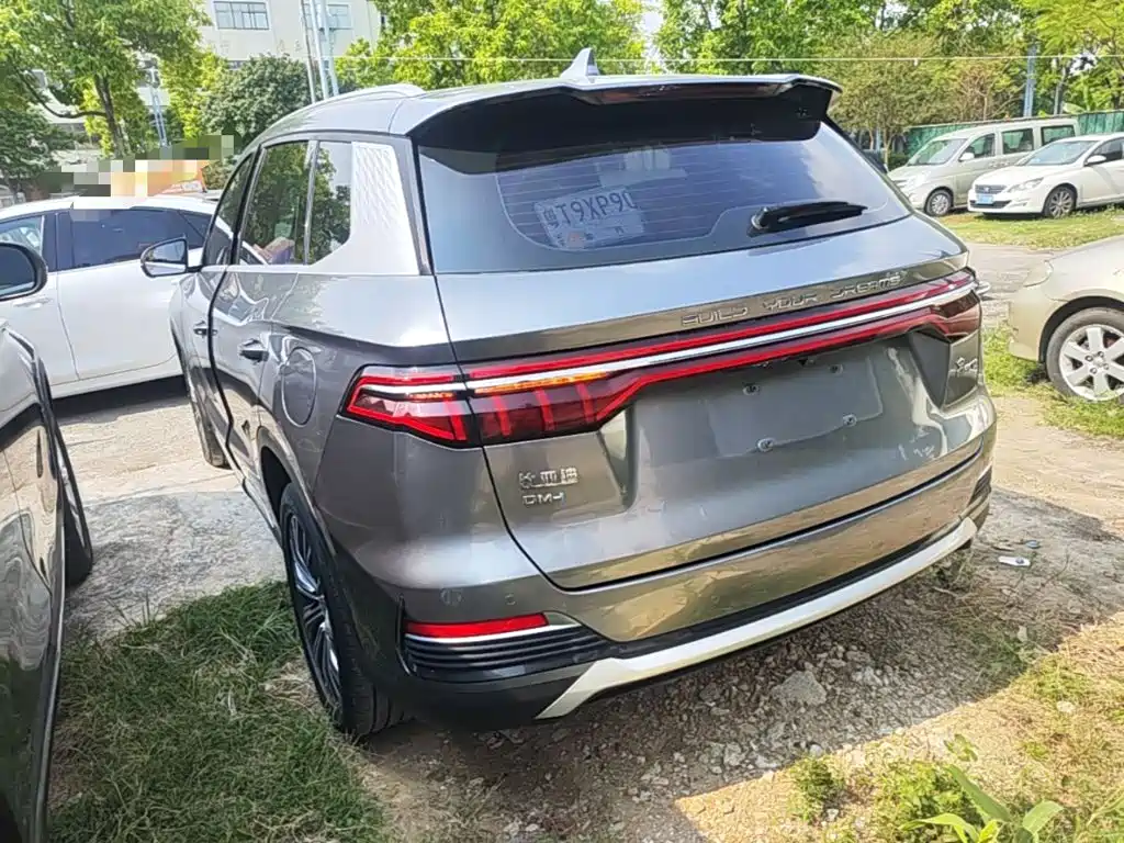 BYD Pro New Energy — фото 4