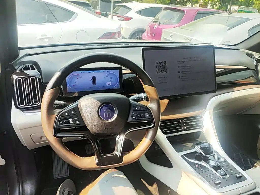 BYD Pro New Energy — фото 9