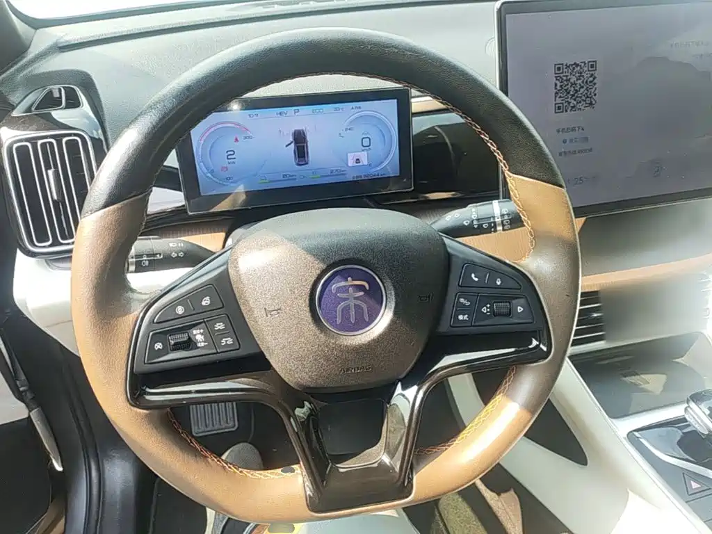 BYD Pro New Energy — фото 10