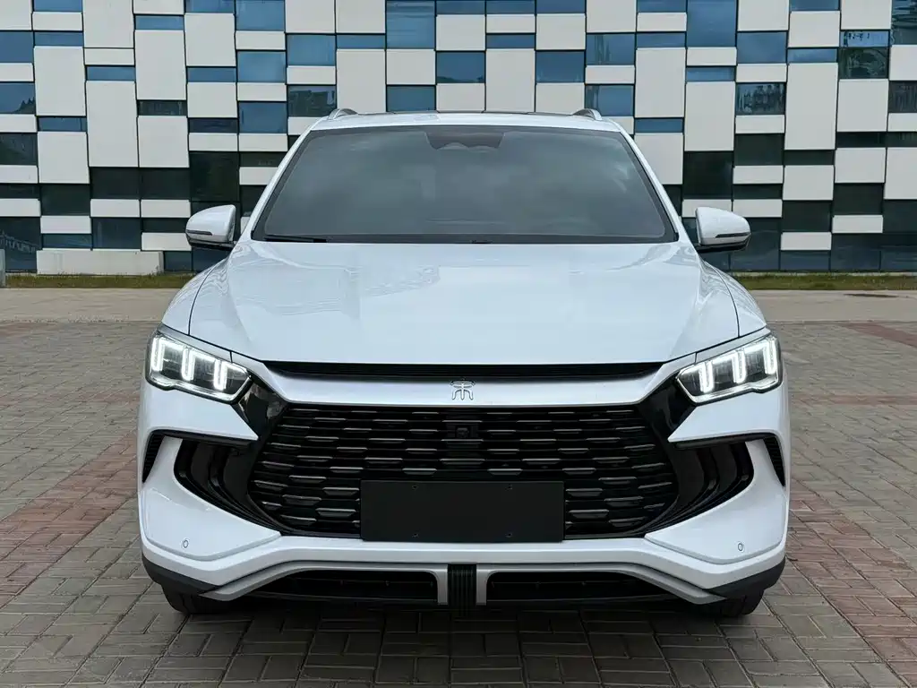 BYD Pro New Energy — фото 2