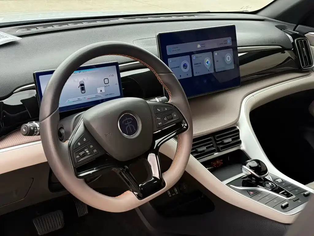BYD Pro New Energy — фото 11