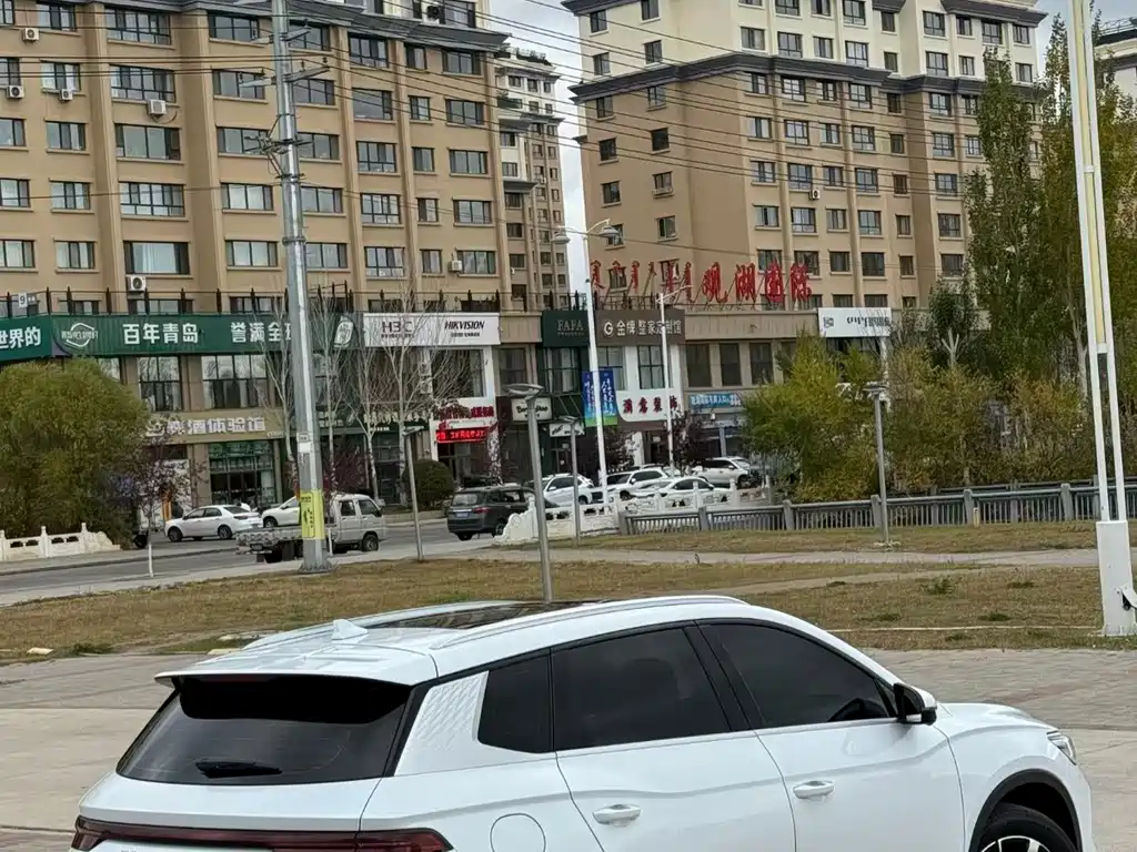 BYD Pro New Energy — фото 17
