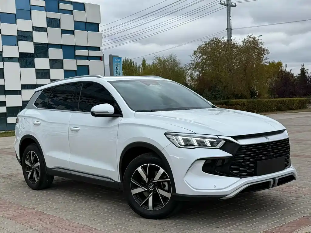 BYD Pro New Energy — фото 3
