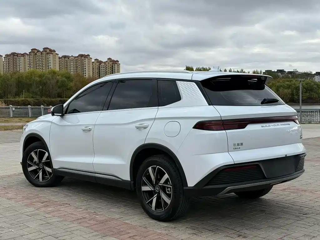 BYD Pro New Energy — фото 7