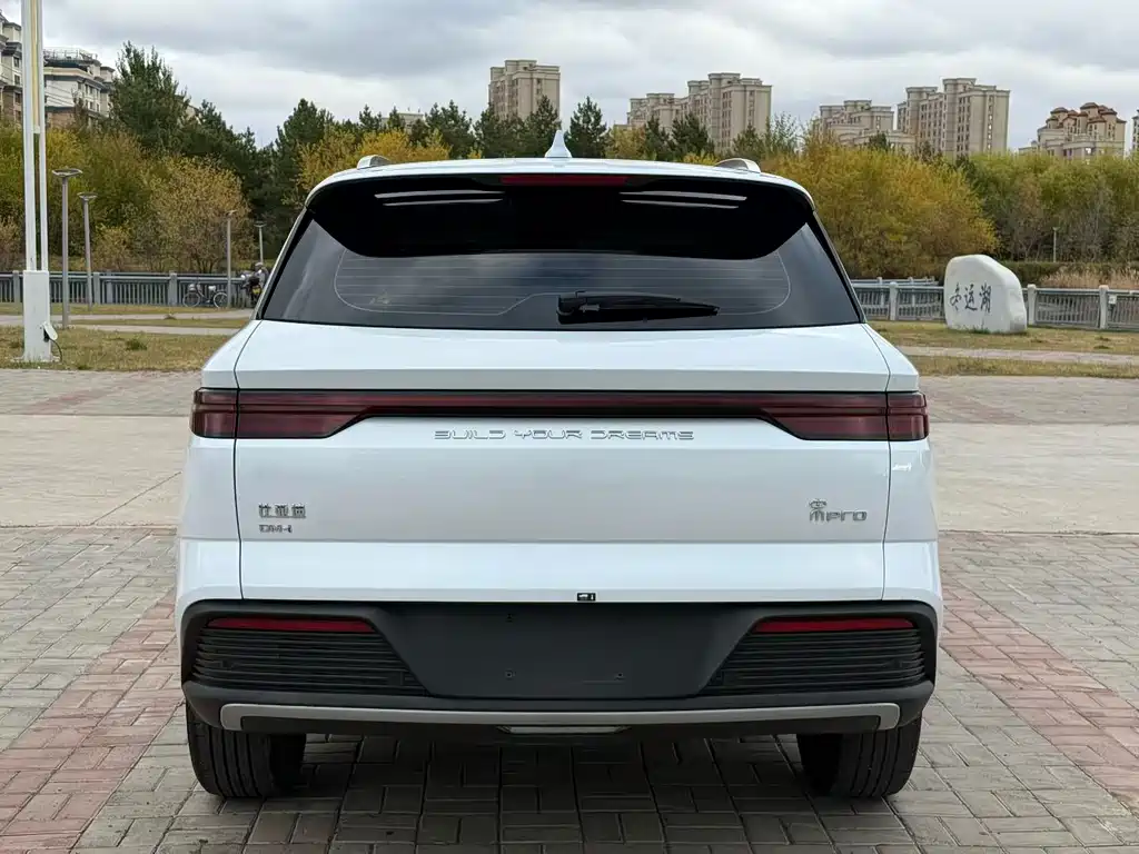 BYD Pro New Energy — фото 8