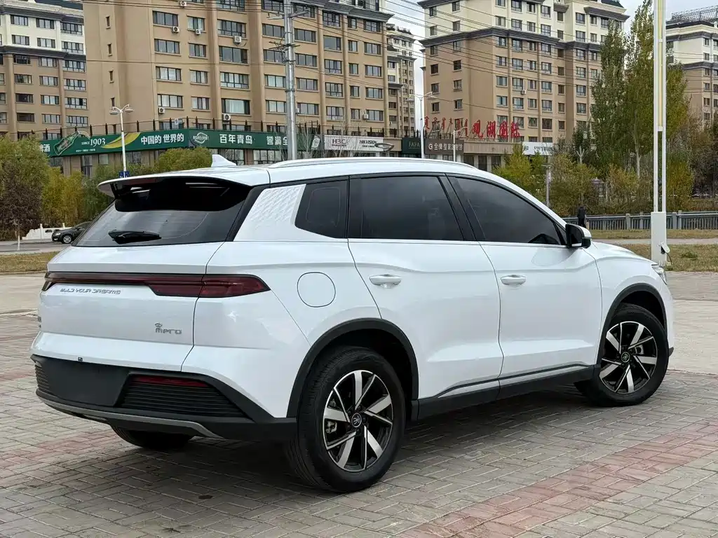 BYD Pro New Energy — фото 9