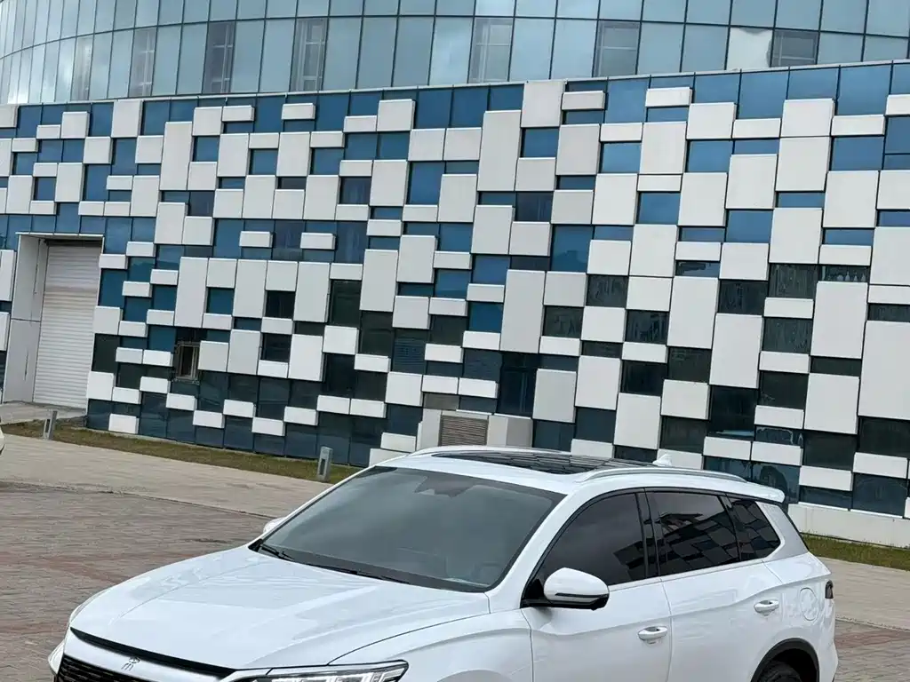 BYD Pro New Energy — фото 10