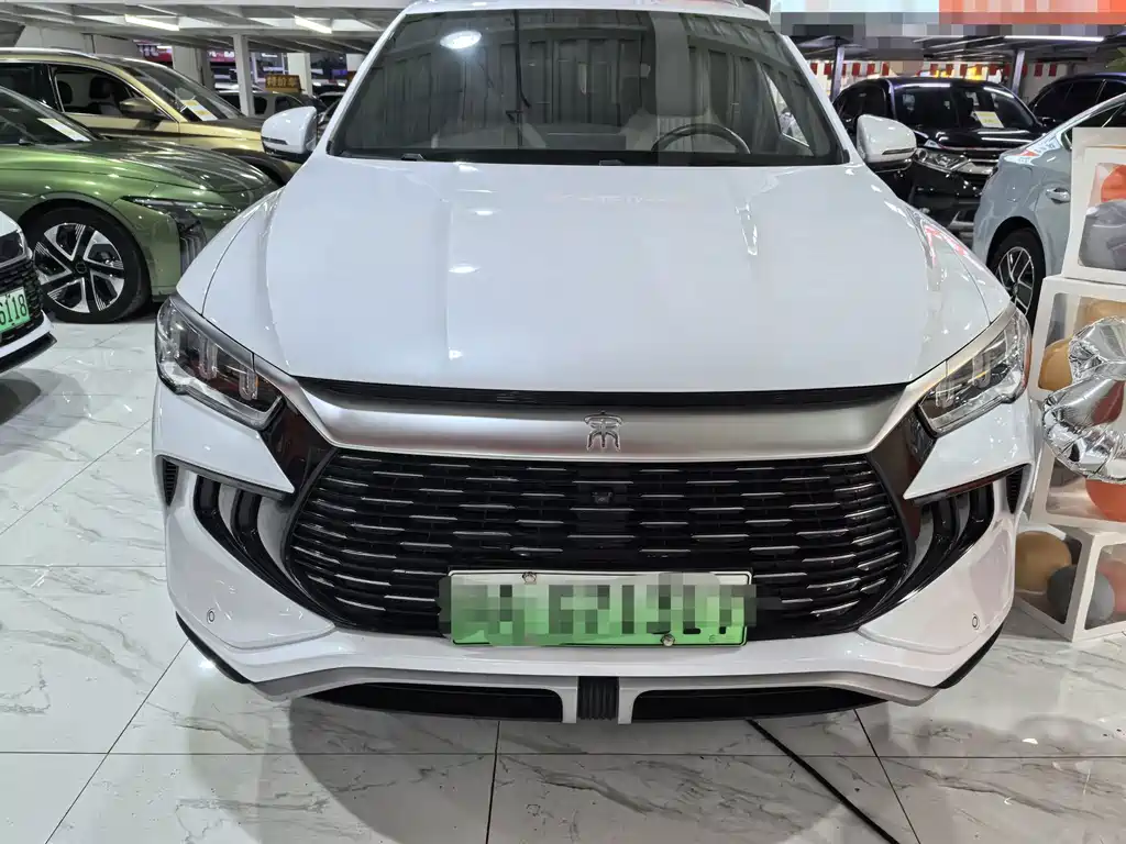 BYD Pro New Energy — фото 2