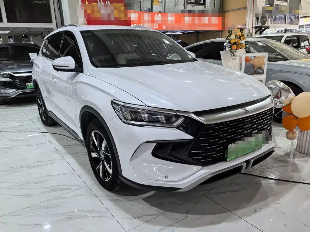 BYD Pro New Energy — фото 3