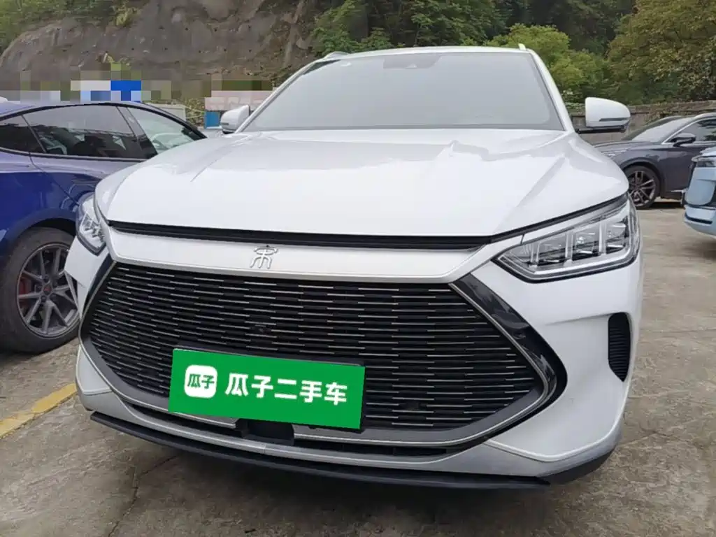 BYD PLUS New Energy — фото 2