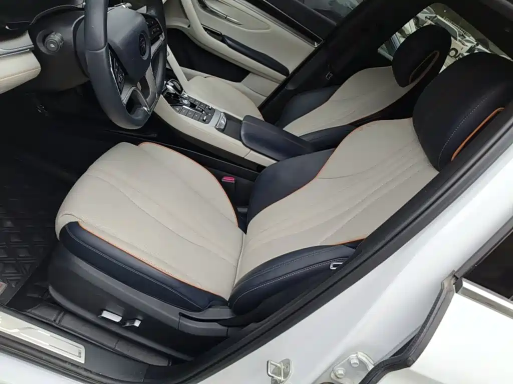 BYD PLUS New Energy — фото 14