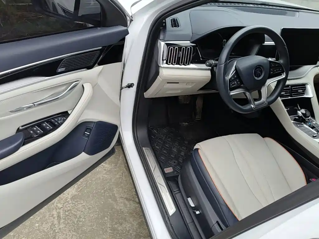 BYD PLUS New Energy — фото 15