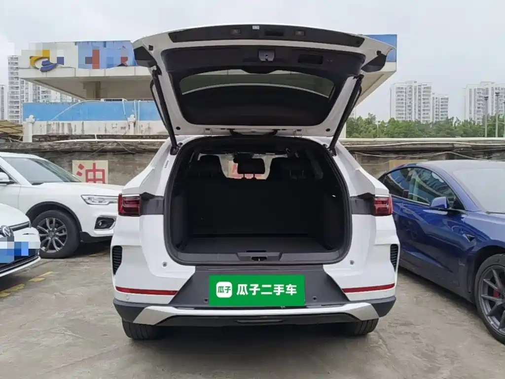 BYD PLUS New Energy — фото 18
