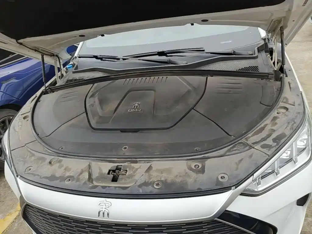 BYD PLUS New Energy — фото 19