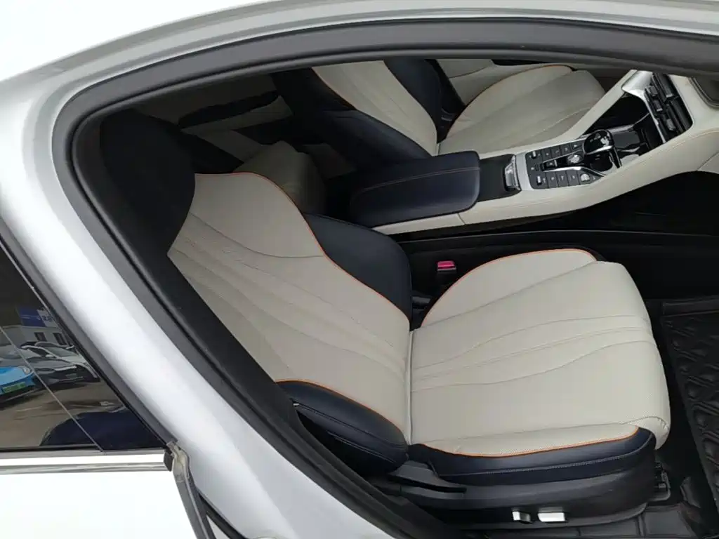 BYD PLUS New Energy — фото 24